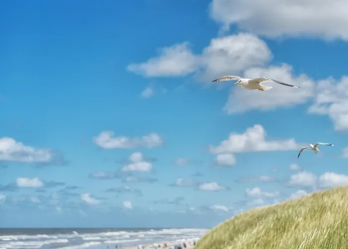 Nordsee Liebe Haus A * Шпикерог